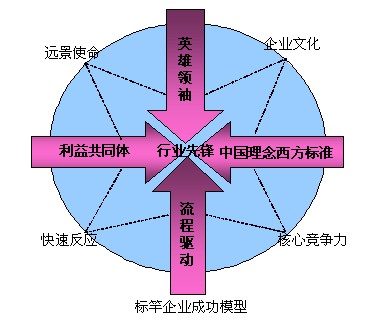 标竿企业成功模型