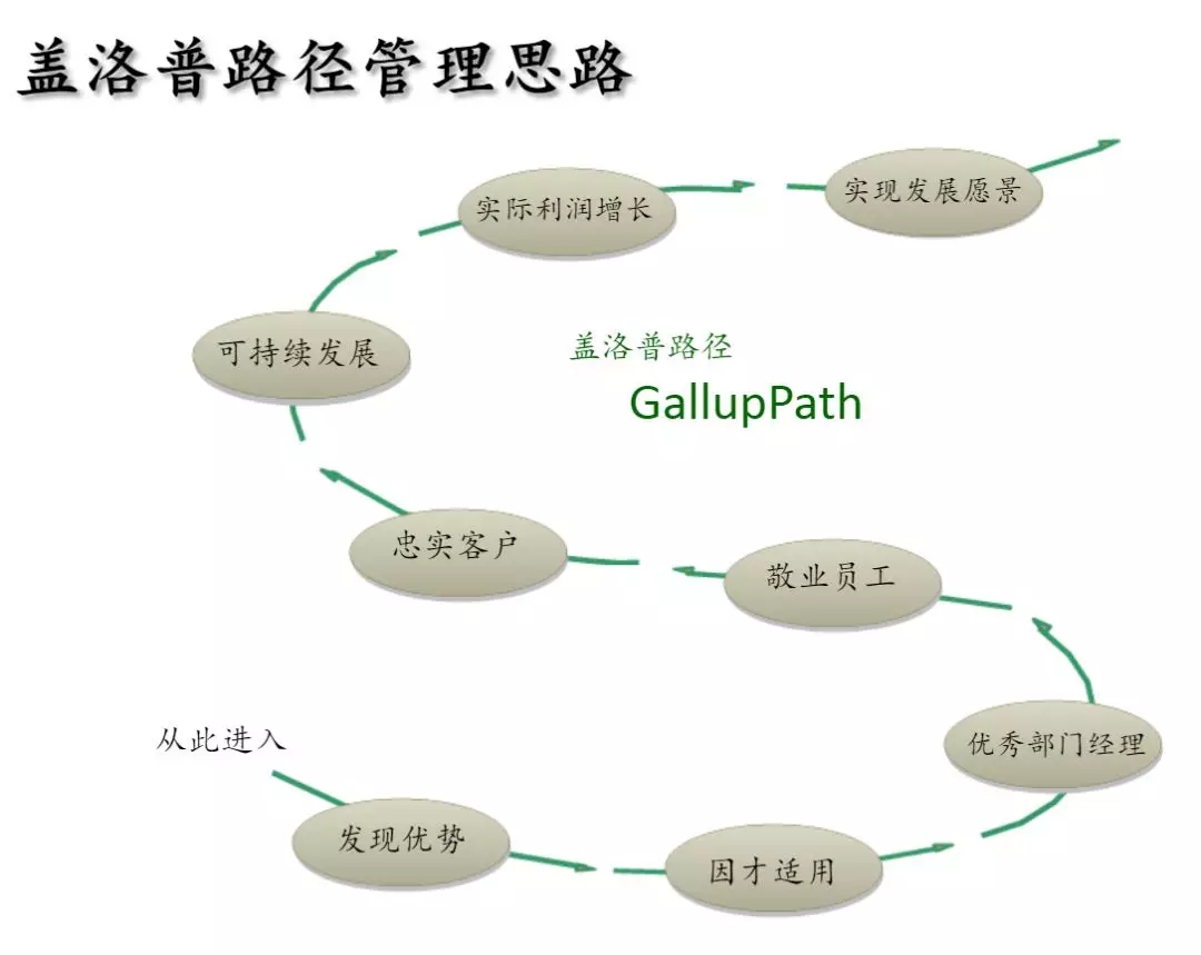 企业微诊断,组织杨三角,组织管理