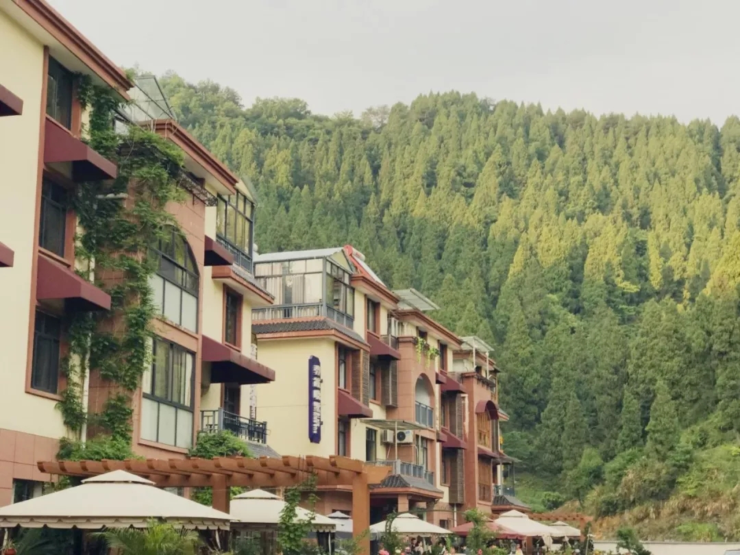 光华赋能,团建活动,员工活动