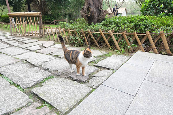 太极禅苑,时代光华,游学